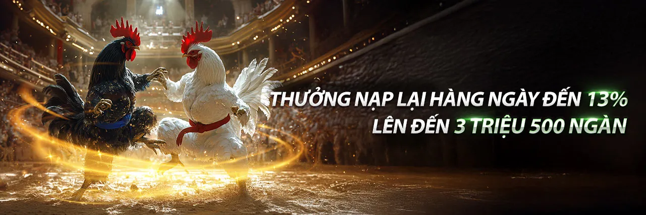Đá gà trực tuyến 99ev với các trận đấu sôi động